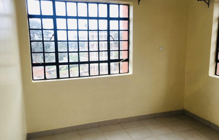 IMG_1338-scaled-owm2mh2gilg1bkql4r2eqop7bojh5dlyi7wzkajkic