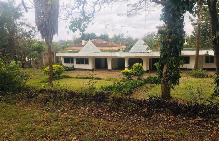 optiglobe-lavington-land-2-oxhaxgvgi0ntmkjtlah2pyn0w0g01qj6mucp61v5w4