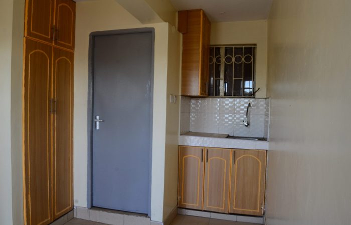 DSC_9451-scaled-p0avyrsf4e3wzws5rnlmk7jsuk2j8q0qy6yvtg782c