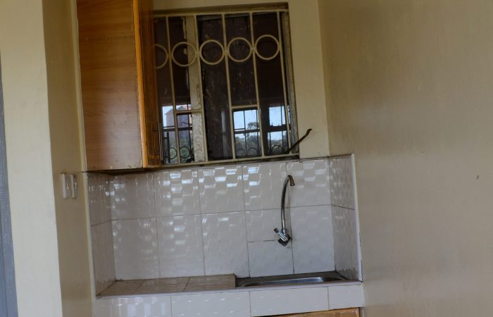 DSC_9454-scaled-p0avz7rockpsha4y6cia8limy3vrvks6oe24z5jj4k